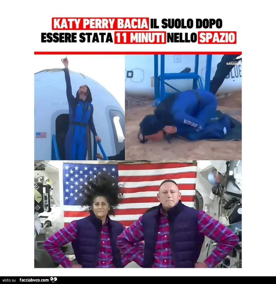 Vaccata