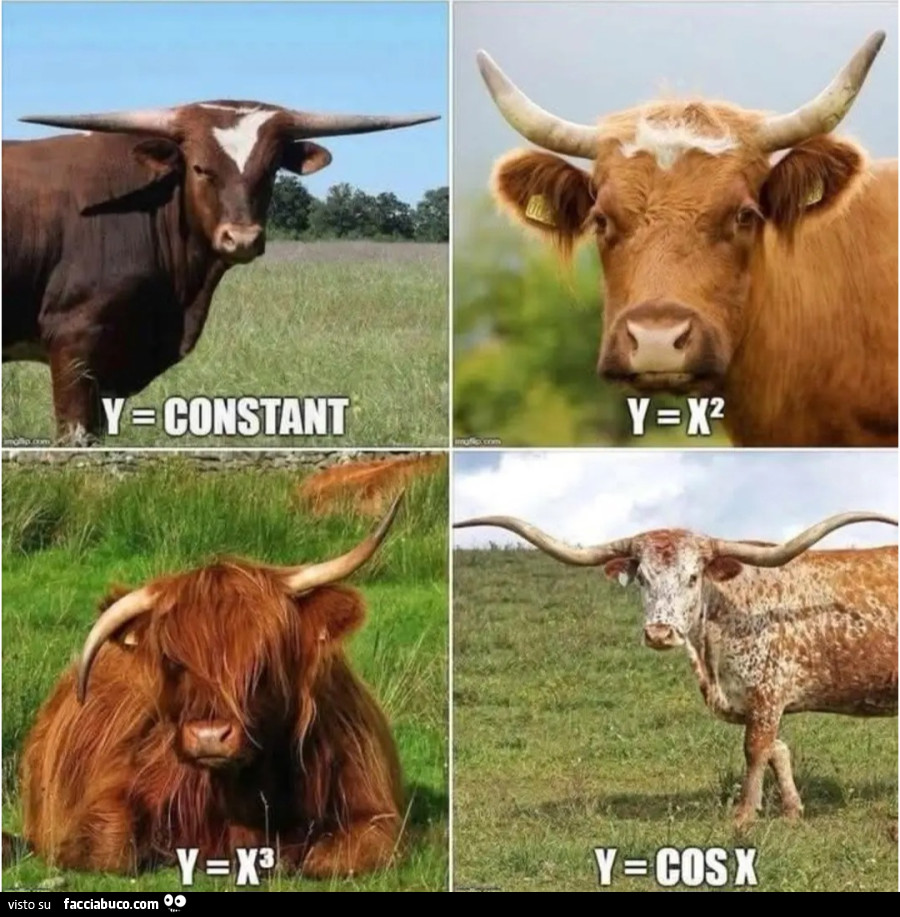 Analisi matematica