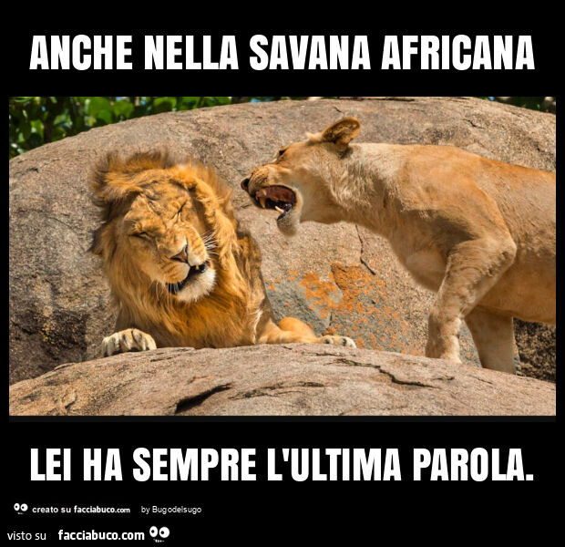 Anche nella savana africana lei ha sempre l'ultima parola