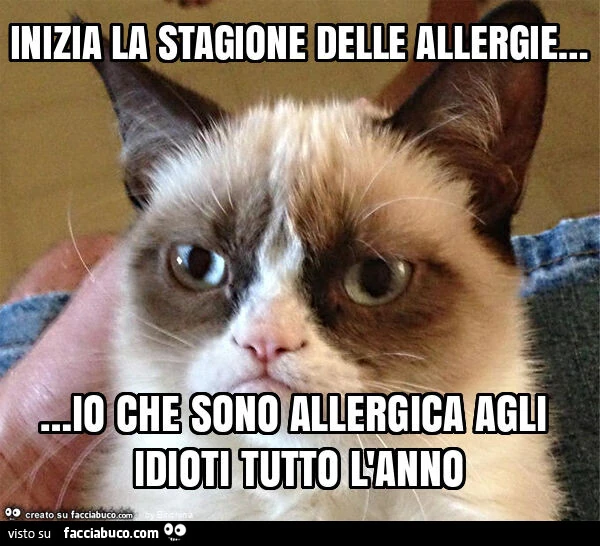 Inizia la stagione delle allergie&hellip; io che sono allergica agli idioti tutto l'anno