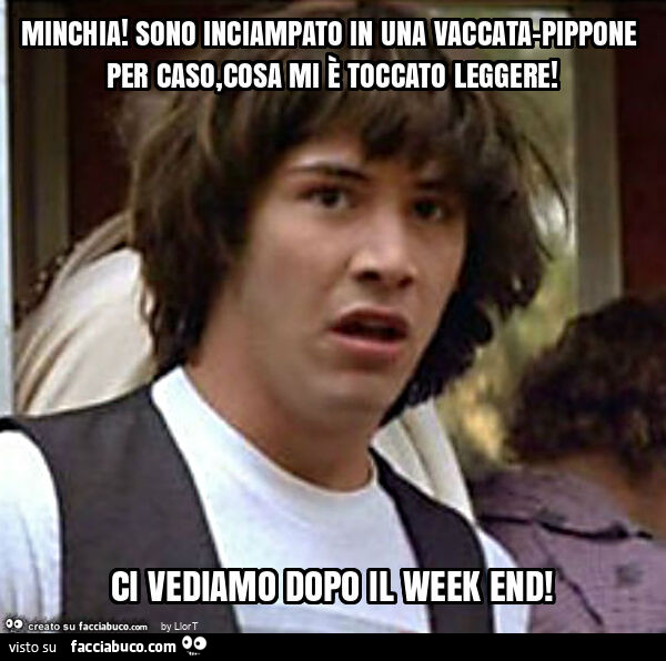 Minchia! Sono inciampato in una vaccata-pippone per caso, cosa mi è toccato leggere! Ci vediamo dopo il week end