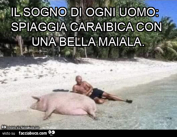Il sogno di ogni uomo: spiaggia caraibica con una bella maiala