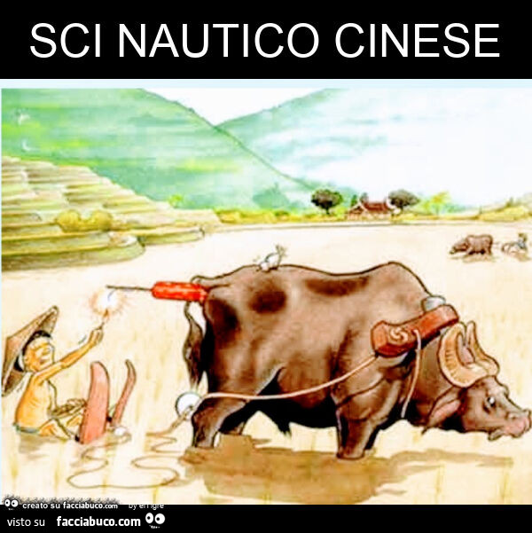 Sci nautico cinese