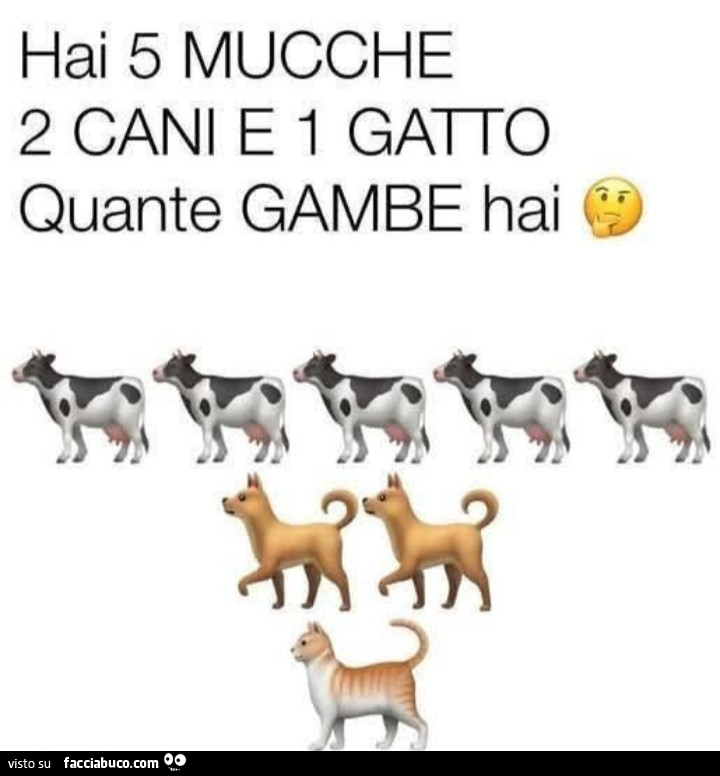 Hai 5 mucche 2 cani e 1 gatto quante gambe hai