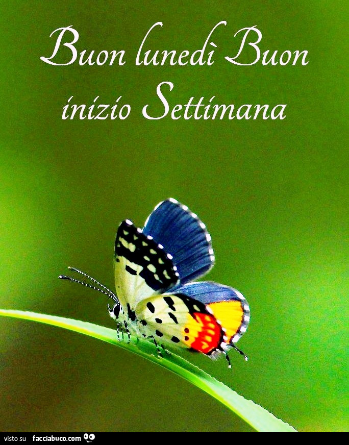 Buon Lunedì Buon inizio settimana