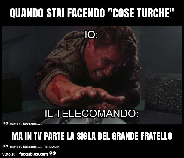 Quando stai facendo "cose turche" ma in tv parte la sigla del grande fratello