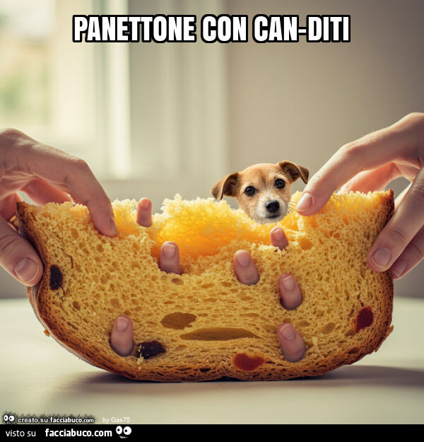 Panettone con can-diti