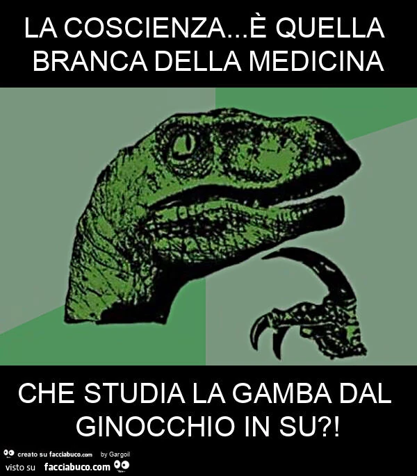 La coscienza&hellip; è quella branca della medicina che studia la gamba dal ginocchio in su?