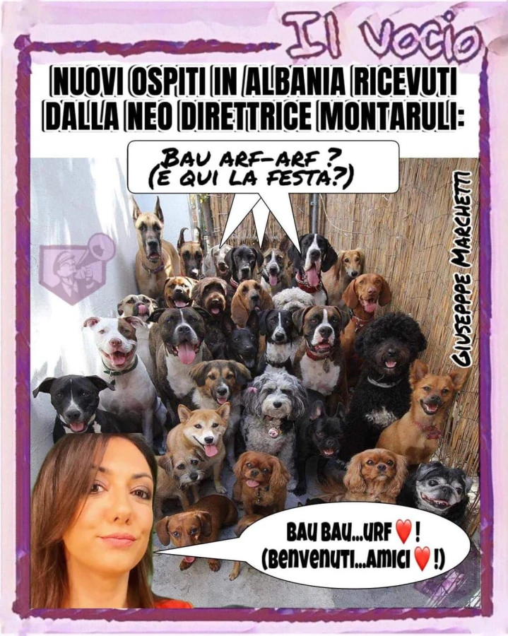 Vaccata