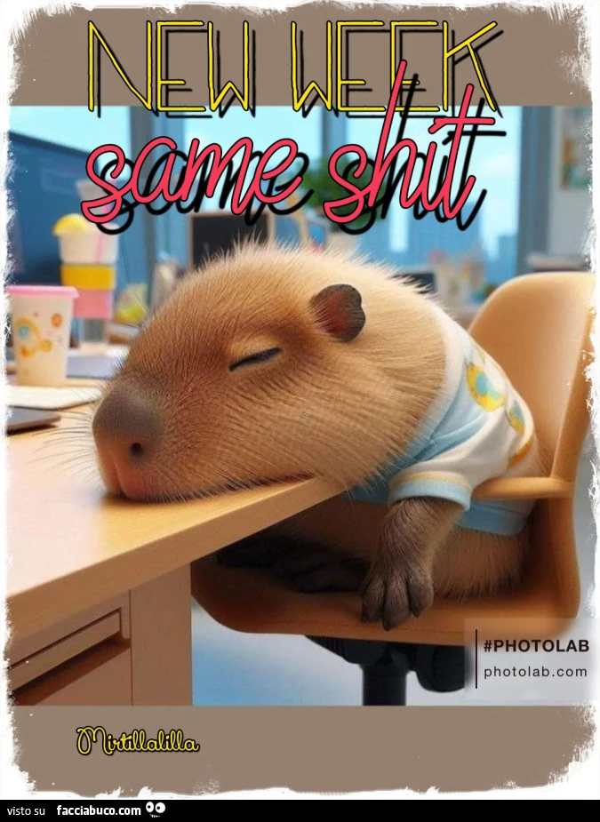 New week