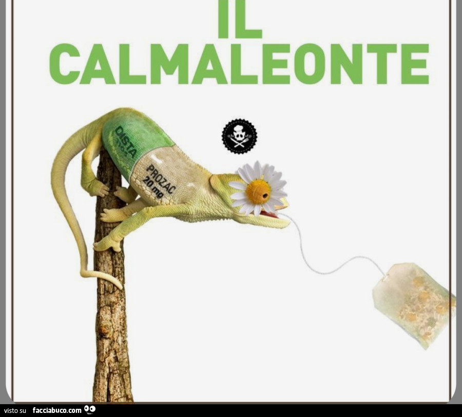 Il Calmaleonte