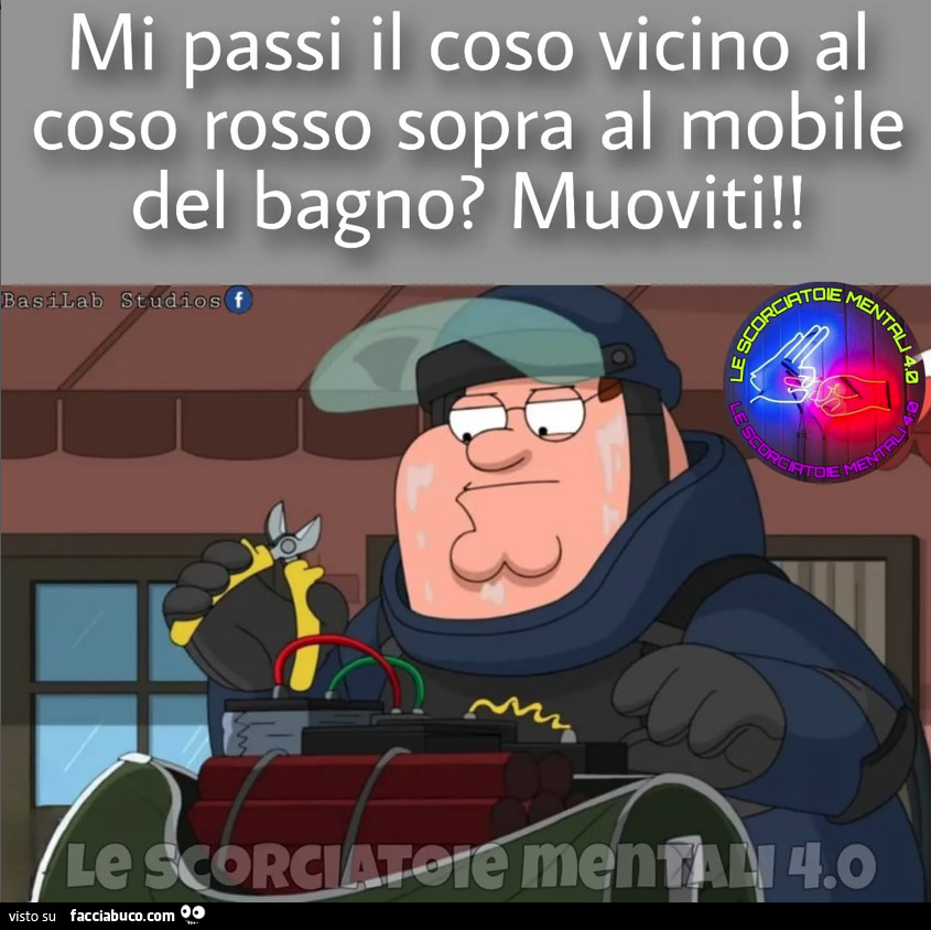 Vaccata