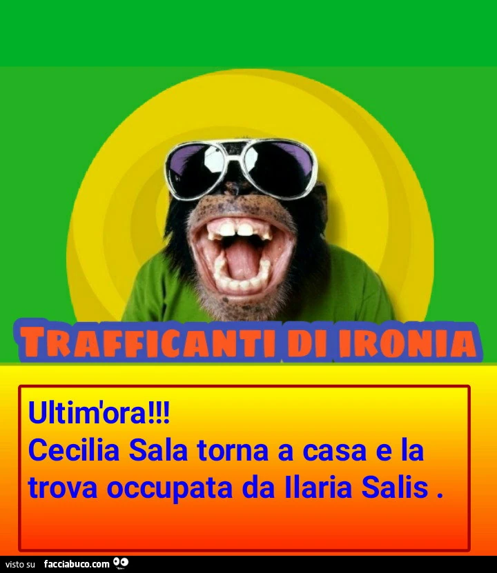 Ultim'ora! Cecilia Sala torna a casa e la trova occupata da Ilaria Salis