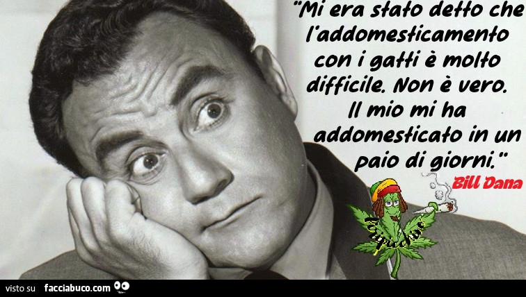 Vaccata