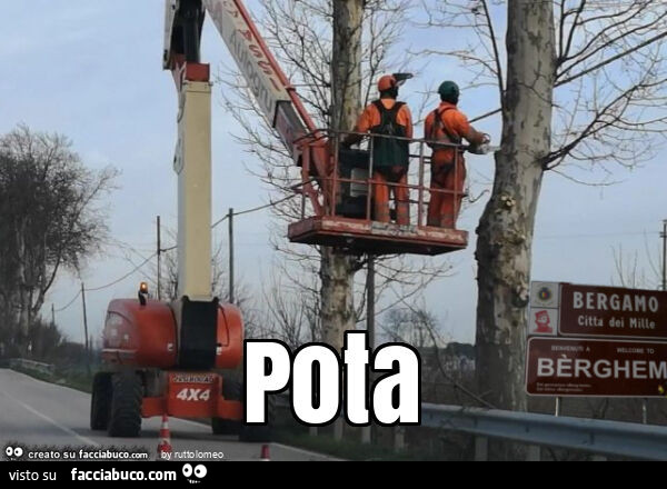 Pota