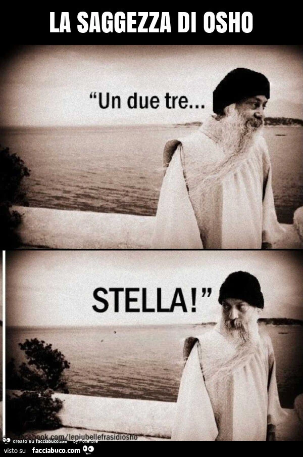 La saggezza di osho