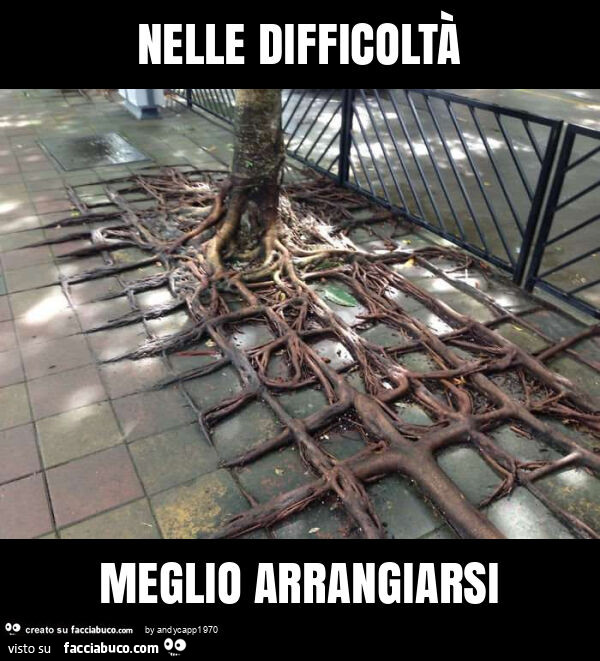 Nelle difficoltà meglio arrangiarsi