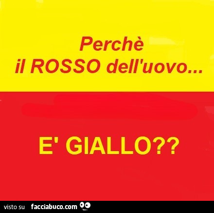 Perchè il rosso dell'uovo… è giallo?