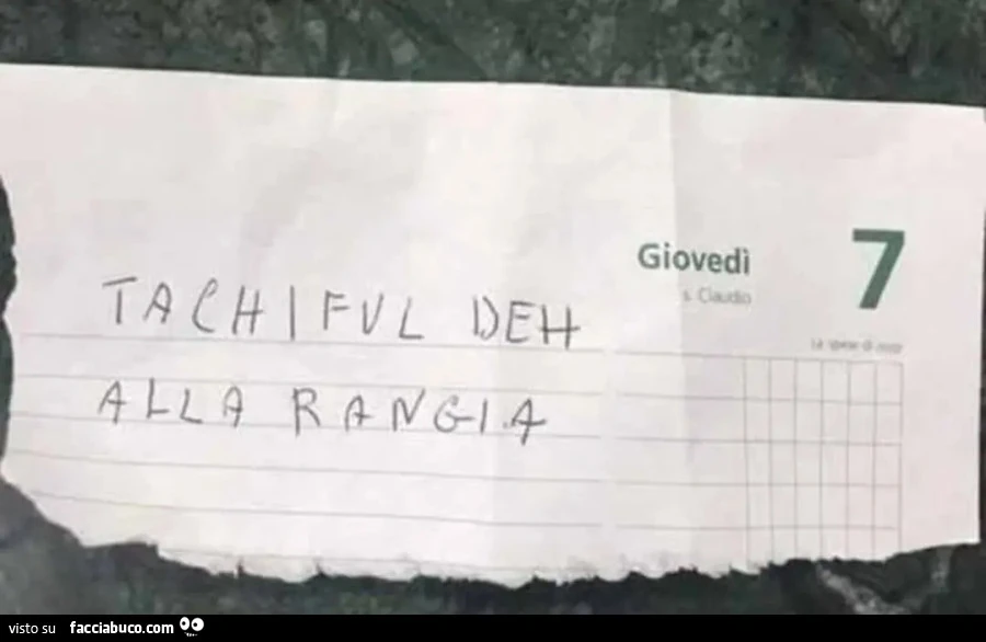 Tachi ful deh alla rangia