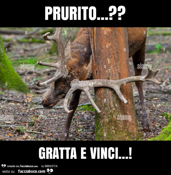 Prurito… ? Gratta e vinci