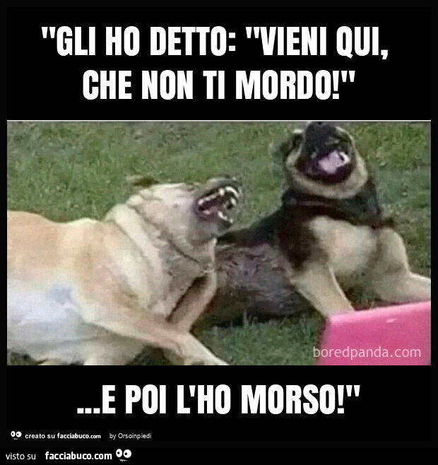 "gli ho detto: "vieni qui, che non ti mordo! "… e poi l'ho morso! "