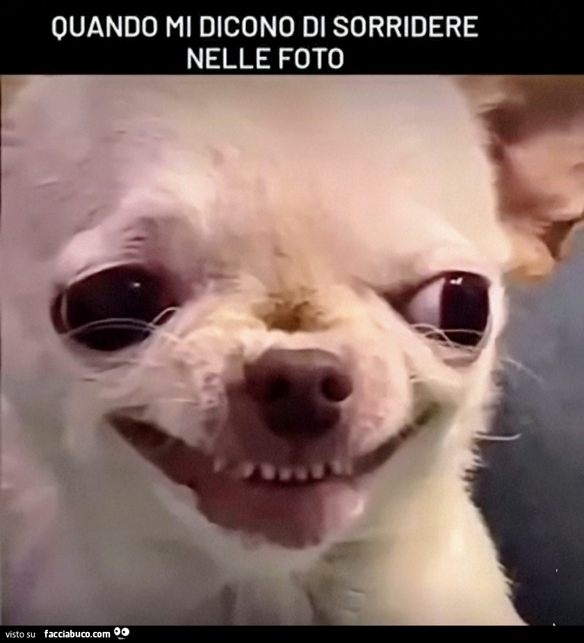Ridere