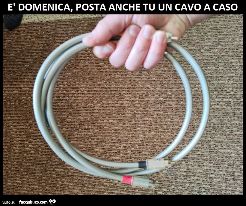 Vaccata