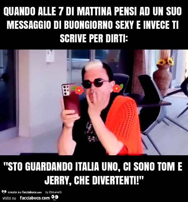 Quando alle 7 di mattina pensi ad un suo messaggio di buongiorno sexy e invece ti scrive per dirti: "sto guardando italia uno, ci sono tom e jerry, che divertenti! "