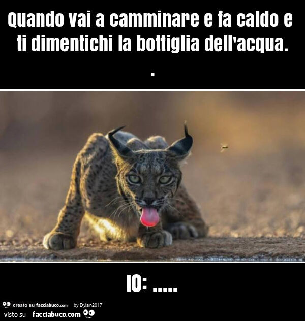 Quando vai a camminare e fa caldo e ti dimentichi la bottiglia dell'acqua. Io