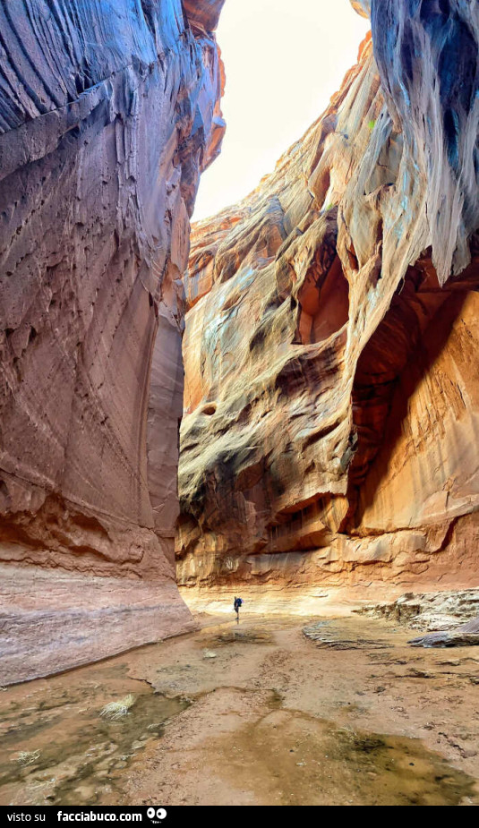 Buckskin Gulch, con i suoi 25 km, è il canyon più lungo e profondo della Terra. Si trova nello Utah, ai confini con l'Arizona, ed attraversa le terre degli Indiani Navajo