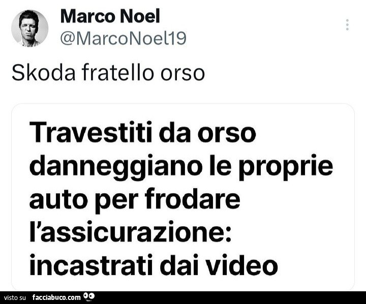 Travestiti da orso danneggiano le proprie auto per frodare l'assicurazione: incastrati dai video