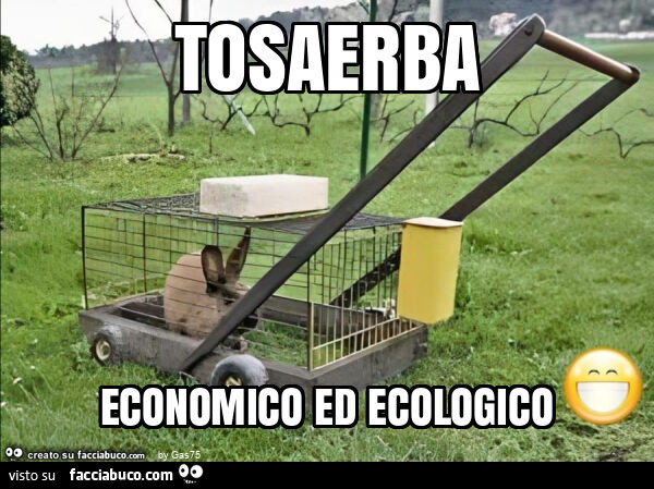 Tosaerba economico ed ecologico