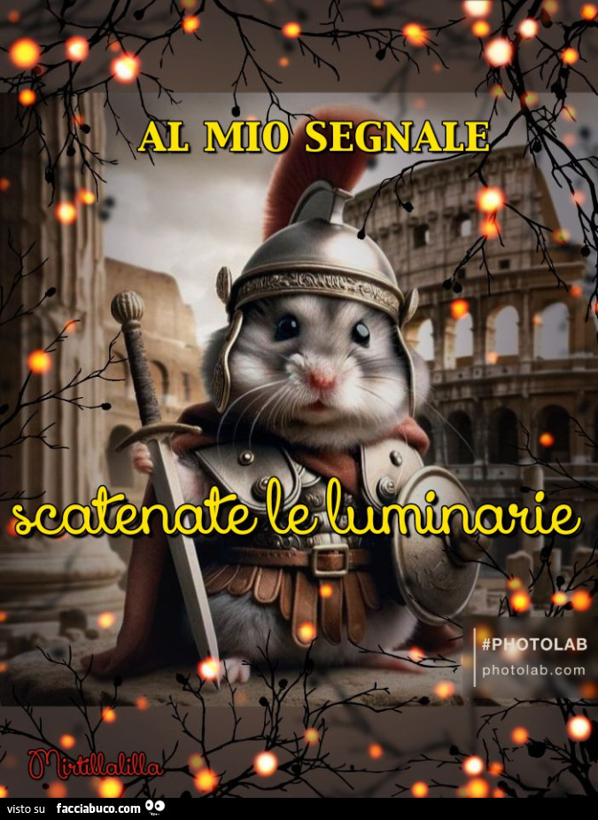 Al mio segnale