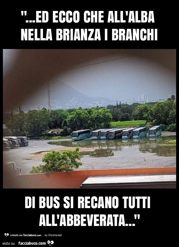 "… ed ecco che all'alba nella brianza i branchi di bus si recano tutti all'abbeverata… "