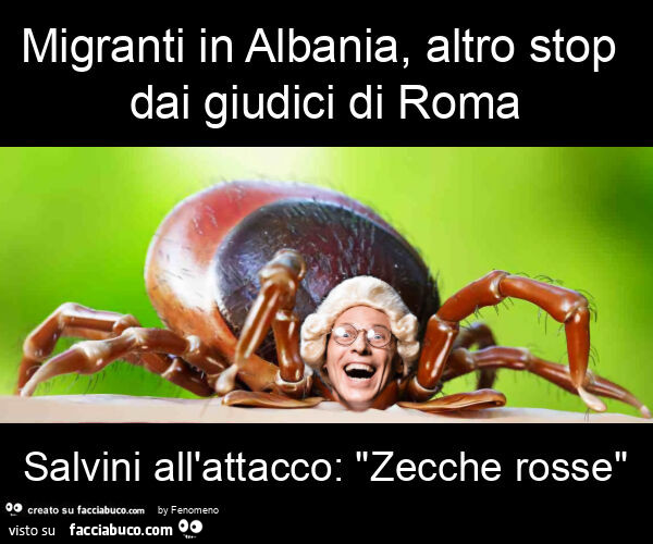 Migranti in albania, altro stop dai giudici di roma salvini all'attacco: "zecche rosse"