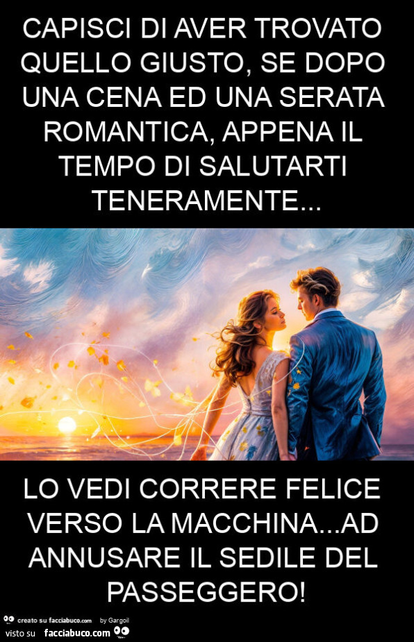 Capisci di aver trovato quello giusto, se dopo una cena ed una serata romantica, appena il tempo di salutarti teneramente… lo vedi correre felice verso la macchina… ad annusare il sedile del passeggero