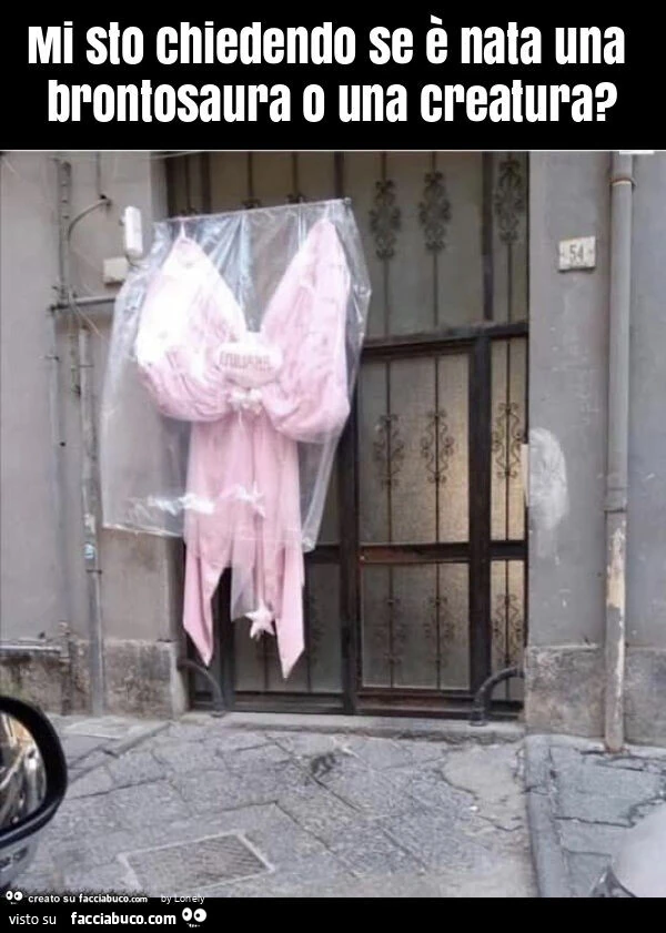 Mi sto chiedendo se è nata una brontosaura o una creatura?