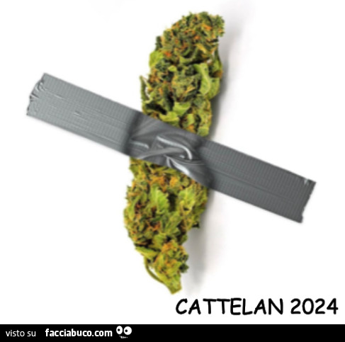 Marijuana di Cattelan