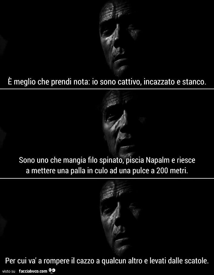 È meglio che prendi nota: io sono cattivo, incazzato e stanco. Sono uno che mangia filo spinato, piscia napalm e riesce a mettere una palla in culo ad una pulce a 200 metri
