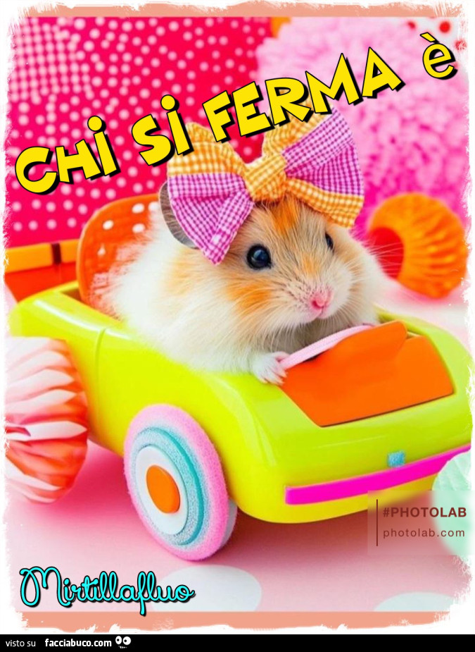 Chi si ferma