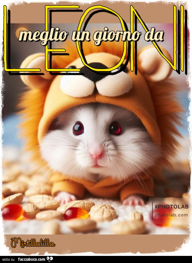 Meglio un giorno da leoni