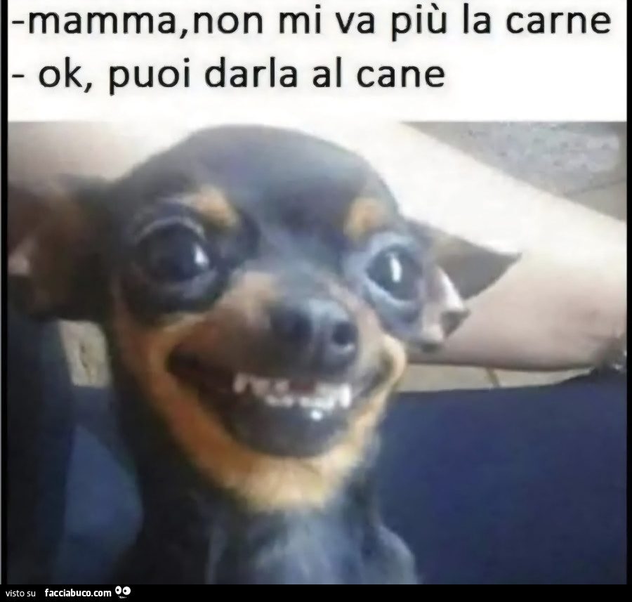 Carne