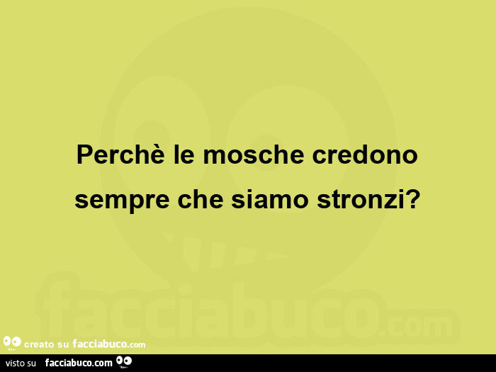 Perchè le mosche credono sempre che siamo stronzi?