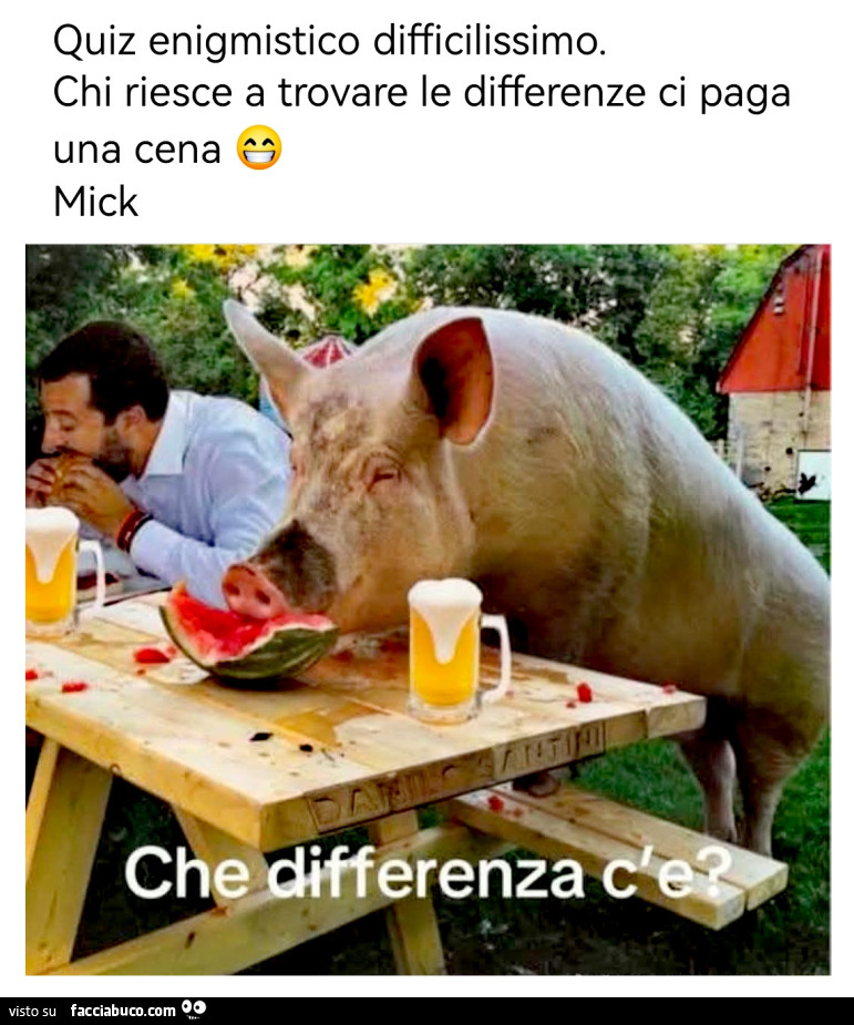 Vaccata