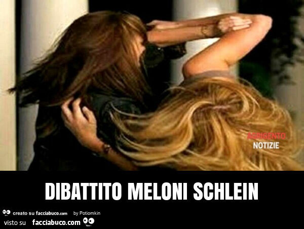 Dibattito meloni schlein