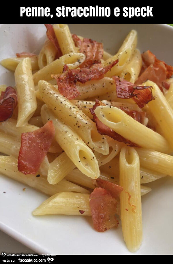 Penne, stracchino e speck