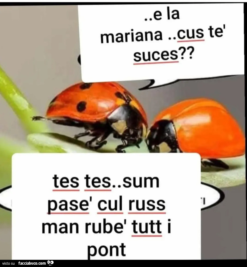Dialetto