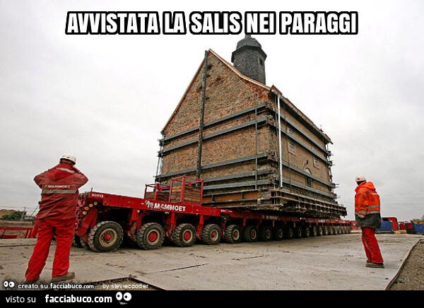 Avvistata la salis nei paraggi