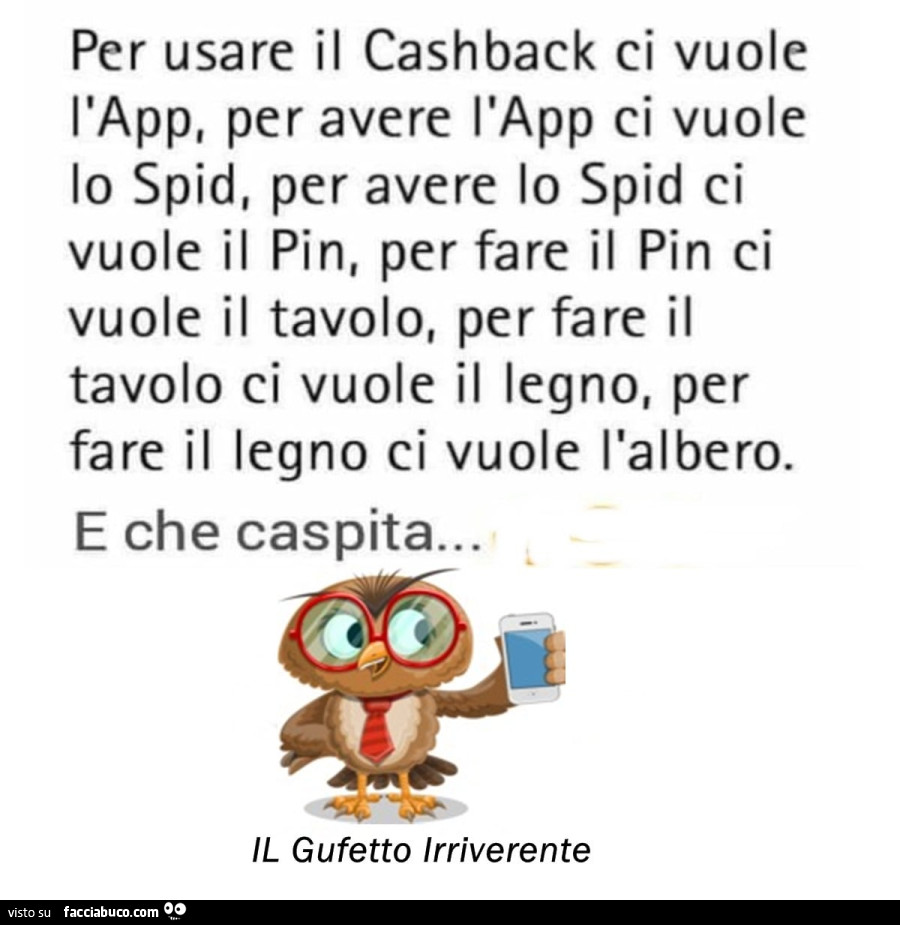 Per usare il cashback ci vuole l'app, per avere l'app ci vuole lo spid, per avere lo spid ci vuole il pin, per fare il pin ci vuole il tavolo, per fare il tavolo ci vuole il legno