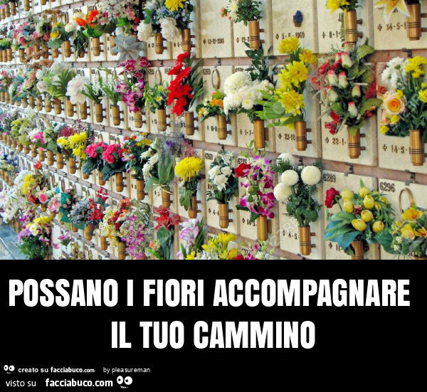 Possano i fiori accompagnare il tuo cammino